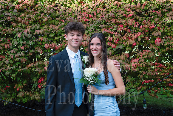 HOCO 26-3
