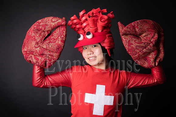 Sponge Bob 22-113